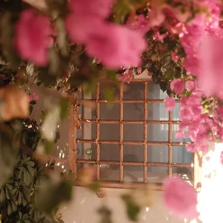 Casa Xuixo In Tenerife South Holiday home