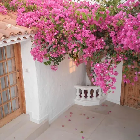 Casa Xuixo In Tenerife South Holiday home Guia de Isora (Tenerife)